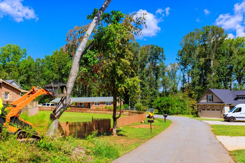 Residential Building Removal